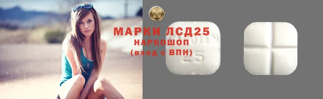 стаф Алзамай