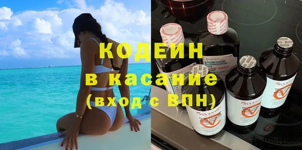 стаф Алзамай