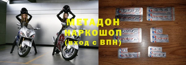 стаф Алзамай