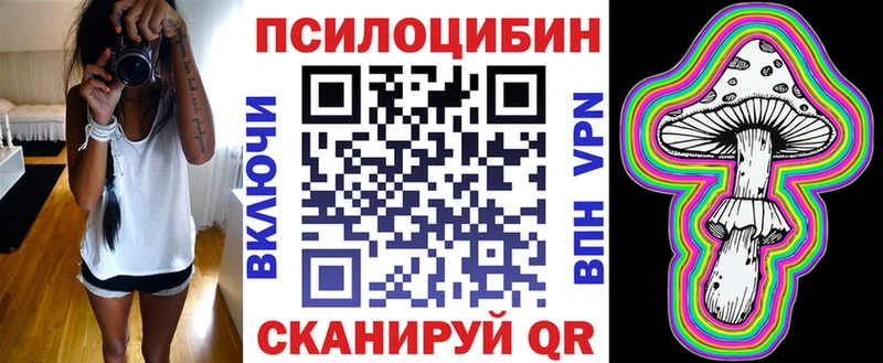 что такое   Дедовск  Галлюциногенные грибы Cubensis 